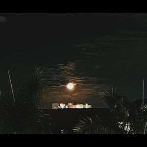 Meet your Posher, Sophia